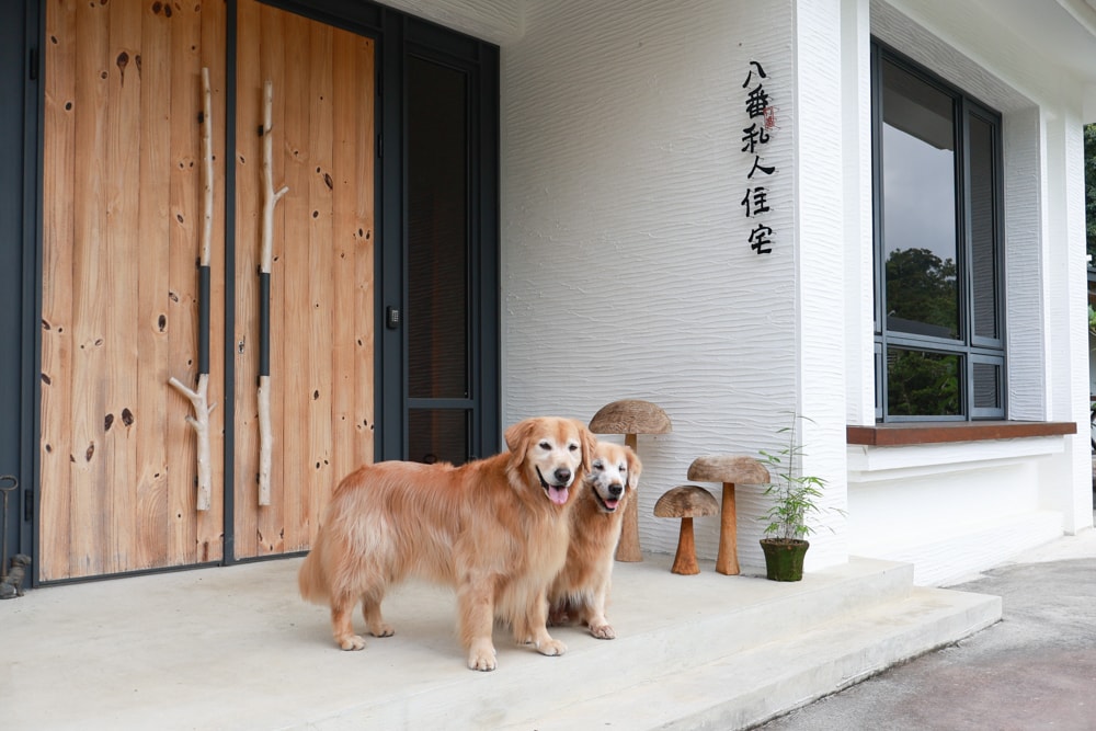 南投日月潭秘境住宿|八番私人住宅。隱身在日月潭森林系設計民宿、寵物友善民宿、感受最純粹最靜謐的日月潭住宿 - 第1張圖 南投日月潭秘境住宿|八番私人住宅。隱身在日月潭森林系設計民宿、寵物友善民宿、感受最純粹最靜謐的日月潭住宿