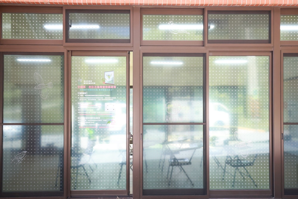 🐾瑞芳兩天一夜旅遊｜猴硐貓村 × 三貂嶺友善隧道 × 寬哥那裡秘境餐廳 × 瑞芳動物之家。友善動物生態旅遊