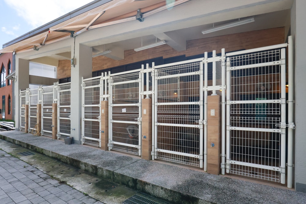 新北瑞芳動物之家參訪心得|顛覆想像的毛孩天堂!像寵物飯店一樣的收容所、原來「收容所」也能這麼美 ❤️ - 第19張圖 新北瑞芳動物之家參訪心得|顛覆想像的毛孩天堂!像寵物飯店一樣的收容所、原來「收容所」也能這麼美 ❤️