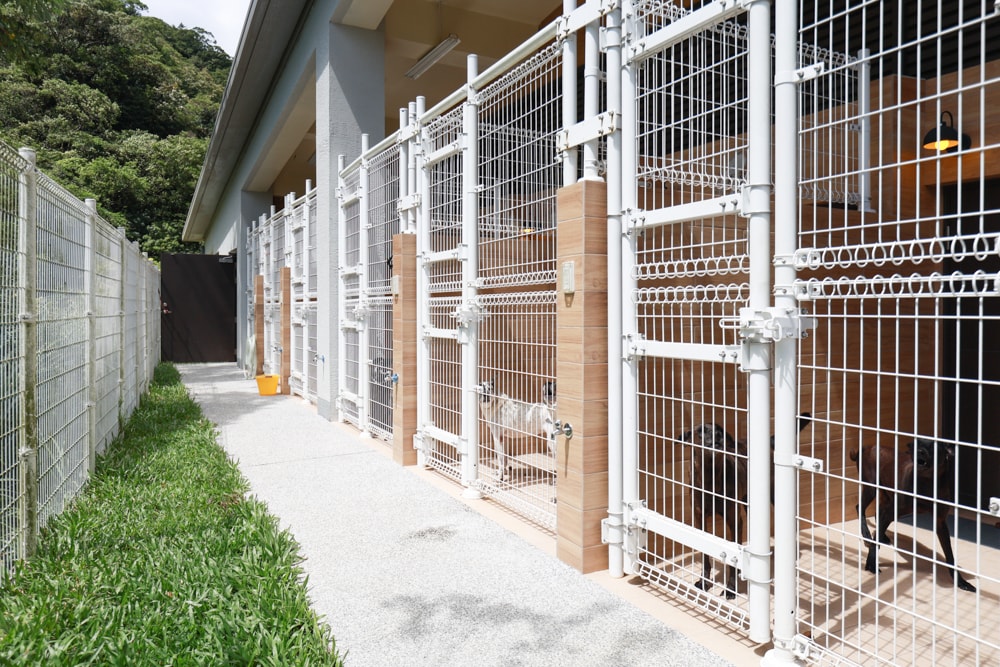 新北瑞芳動物之家參訪心得|顛覆想像的毛孩天堂!像寵物飯店一樣的收容所、原來「收容所」也能這麼美 ❤️ - 第23張圖 新北瑞芳動物之家參訪心得|顛覆想像的毛孩天堂!像寵物飯店一樣的收容所、原來「收容所」也能這麼美 ❤️