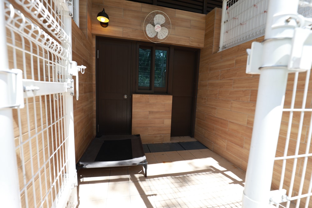 🐾瑞芳兩天一夜旅遊｜猴硐貓村 × 三貂嶺友善隧道 × 寬哥那裡秘境餐廳 × 瑞芳動物之家。友善動物生態旅遊