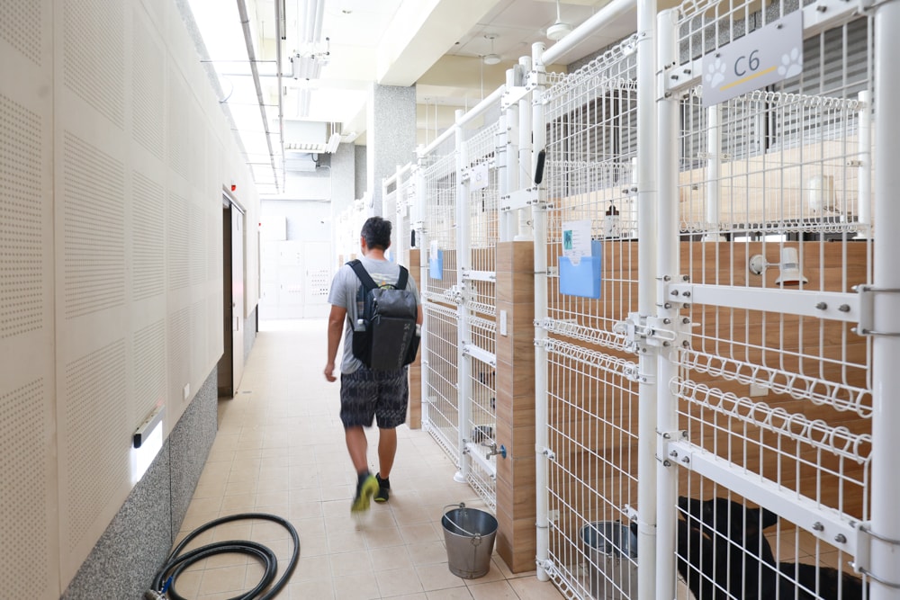 新北瑞芳動物之家參訪心得|顛覆想像的毛孩天堂!像寵物飯店一樣的收容所、原來「收容所」也能這麼美 ❤️ - 第29張圖 新北瑞芳動物之家參訪心得|顛覆想像的毛孩天堂!像寵物飯店一樣的收容所、原來「收容所」也能這麼美 ❤️