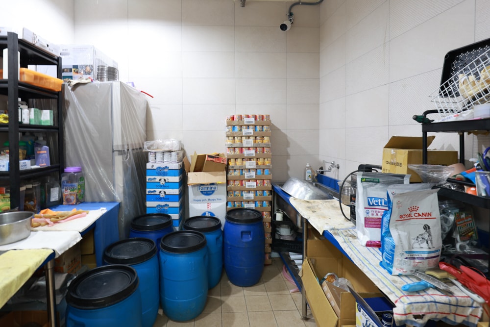 新北瑞芳動物之家參訪心得|顛覆想像的毛孩天堂!像寵物飯店一樣的收容所、原來「收容所」也能這麼美 ❤️ - 第33張圖 新北瑞芳動物之家參訪心得|顛覆想像的毛孩天堂!像寵物飯店一樣的收容所、原來「收容所」也能這麼美 ❤️