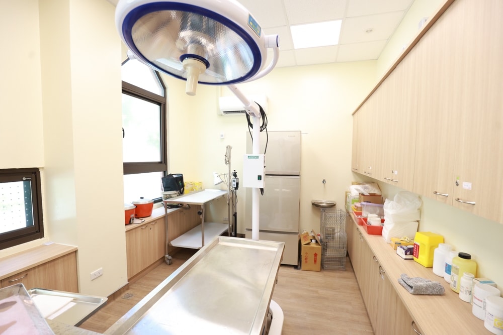 新北瑞芳動物之家參訪心得|顛覆想像的毛孩天堂!像寵物飯店一樣的收容所、原來「收容所」也能這麼美 ❤️ - 第34張圖 新北瑞芳動物之家參訪心得|顛覆想像的毛孩天堂!像寵物飯店一樣的收容所、原來「收容所」也能這麼美 ❤️