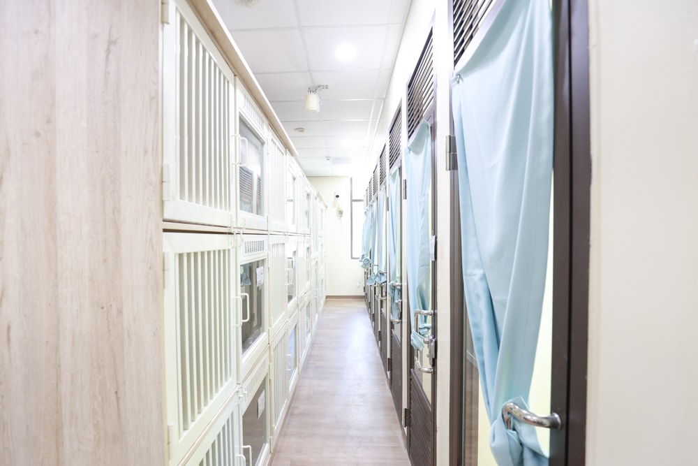 新北瑞芳動物之家參訪心得|顛覆想像的毛孩天堂!像寵物飯店一樣的收容所、原來「收容所」也能這麼美 ❤️ - 第38張圖 新北瑞芳動物之家參訪心得|顛覆想像的毛孩天堂!像寵物飯店一樣的收容所、原來「收容所」也能這麼美 ❤️