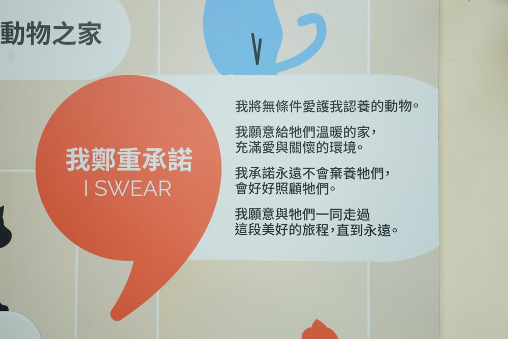 新北瑞芳動物之家參訪心得|顛覆想像的毛孩天堂!像寵物飯店一樣的收容所、原來「收容所」也能這麼美 ❤️ - 第5張圖 新北瑞芳動物之家參訪心得|顛覆想像的毛孩天堂!像寵物飯店一樣的收容所、原來「收容所」也能這麼美 ❤️