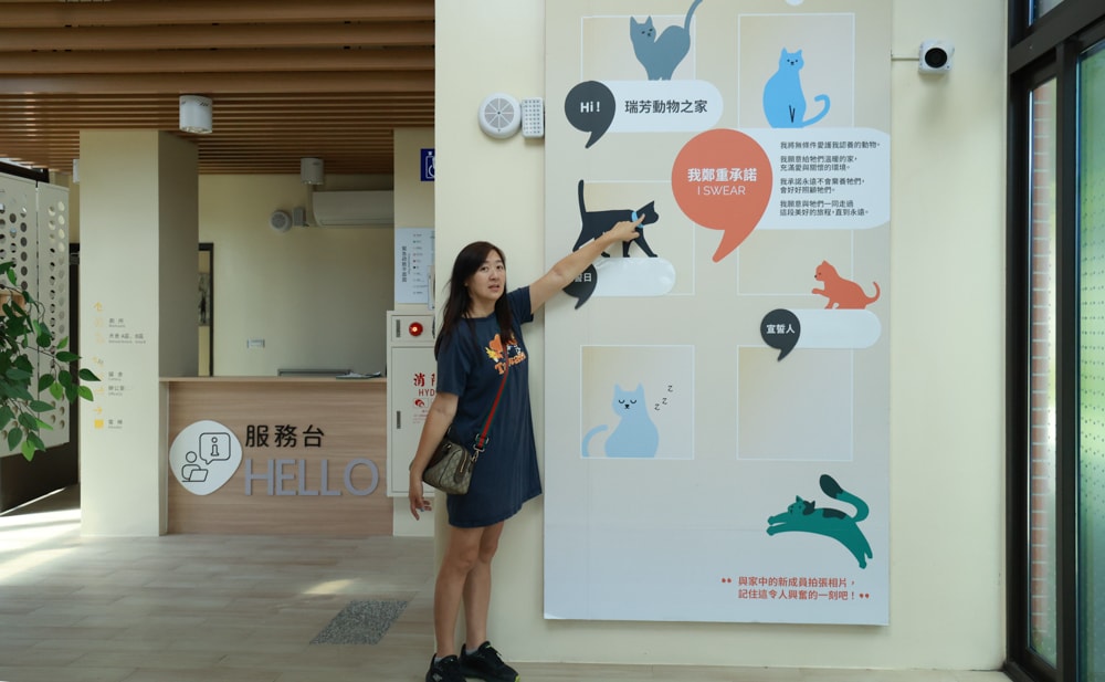 新北瑞芳動物之家參訪心得|顛覆想像的毛孩天堂!像寵物飯店一樣的收容所、原來「收容所」也能這麼美 ❤️ - 第4張圖 新北瑞芳動物之家參訪心得|顛覆想像的毛孩天堂!像寵物飯店一樣的收容所、原來「收容所」也能這麼美 ❤️