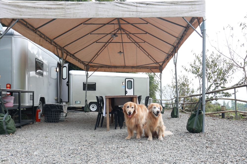 南投溪頭溪部好呆庄野宿體驗庄園｜寵物友善露營車＆馬車帳篷住宿開箱，一泊二食、野溪抓蝦超好玩！