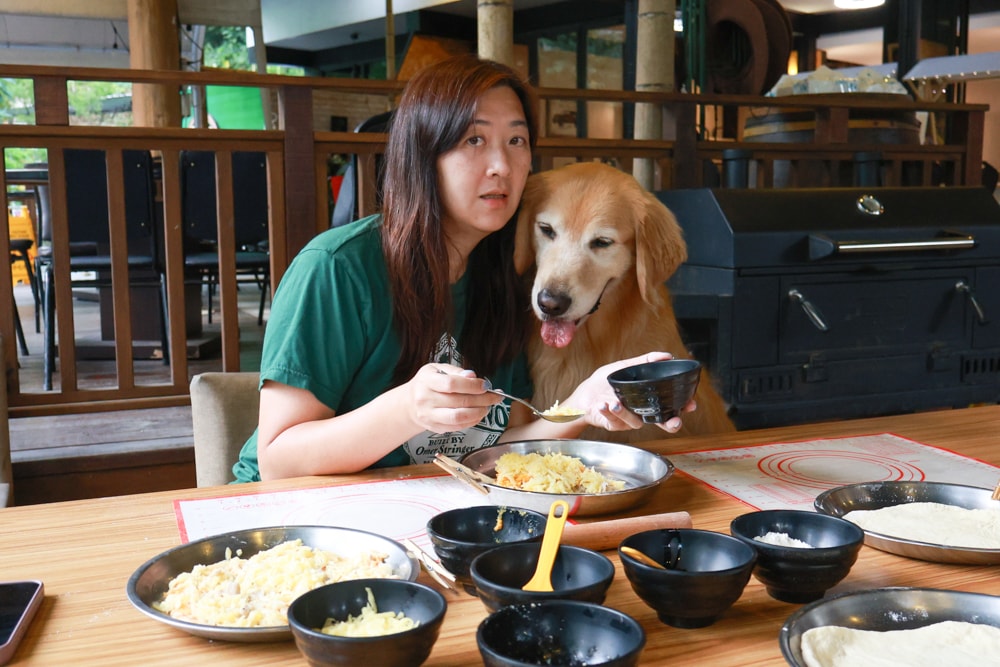 南投溪頭溪部好呆庄野宿體驗庄園｜寵物友善露營車＆馬車帳篷住宿開箱，一泊二食、野溪抓蝦超好玩！