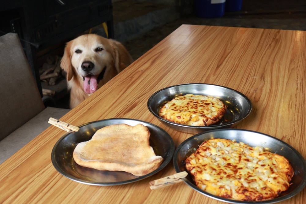 南投溪頭溪部好呆庄野宿體驗庄園｜寵物友善露營車＆馬車帳篷住宿開箱，一泊二食、野溪抓蝦超好玩！