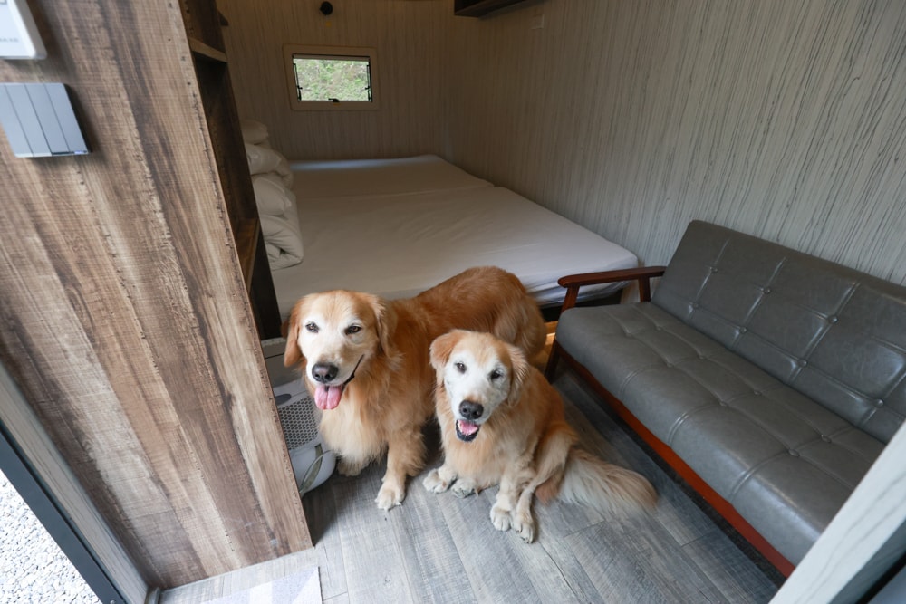 南投溪頭溪部好呆庄野宿體驗庄園｜寵物友善露營車＆馬車帳篷住宿開箱，一泊二食、野溪抓蝦超好玩！