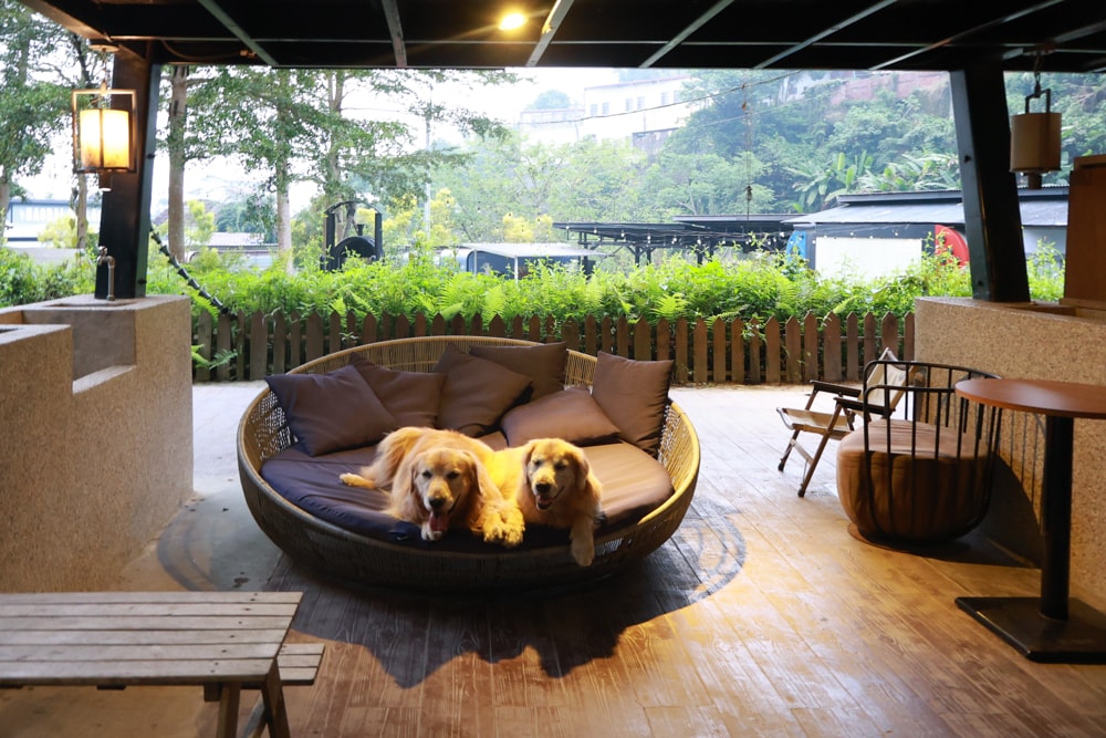 南投溪頭溪部好呆庄野宿體驗庄園｜寵物友善露營車＆馬車帳篷住宿開箱，一泊二食、野溪抓蝦超好玩！