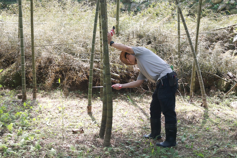 南投溪頭溪部好呆庄野宿體驗庄園｜寵物友善露營車＆馬車帳篷住宿開箱，一泊二食、野溪抓蝦超好玩！