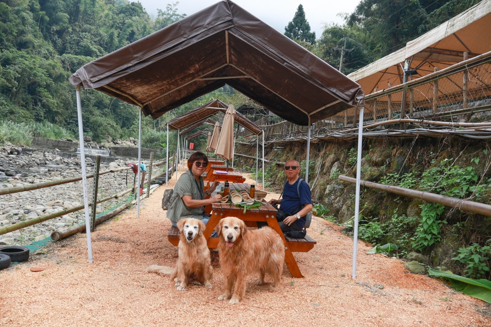 南投溪頭溪部好呆庄野宿體驗庄園｜寵物友善露營車＆馬車帳篷住宿開箱，一泊二食、野溪抓蝦超好玩！