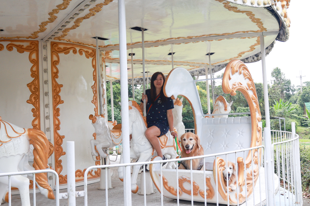 南投竹山海盜村｜一泊四食包棟住宿體驗。寵物友善親子樂園、一泊四食、VR飛船、氣墊樂園、烤肉派對一次玩到底