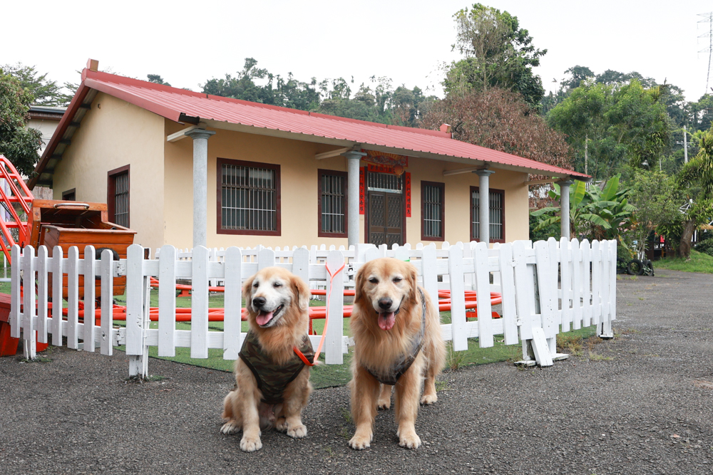 南投竹山海盜村｜一泊四食包棟住宿體驗。寵物友善親子樂園、一泊四食、VR飛船、氣墊樂園、烤肉派對一次玩到底