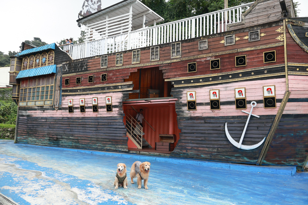 南投竹山海盜村｜一泊四食包棟住宿體驗。寵物友善親子樂園、一泊四食、VR飛船、氣墊樂園、烤肉派對一次玩到底