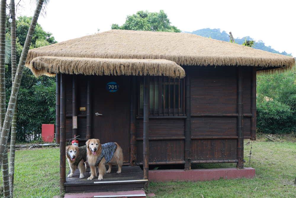 南投竹山海盜村｜一泊四食包棟住宿體驗。寵物友善親子樂園、一泊四食、VR飛船、氣墊樂園、烤肉派對一次玩到底