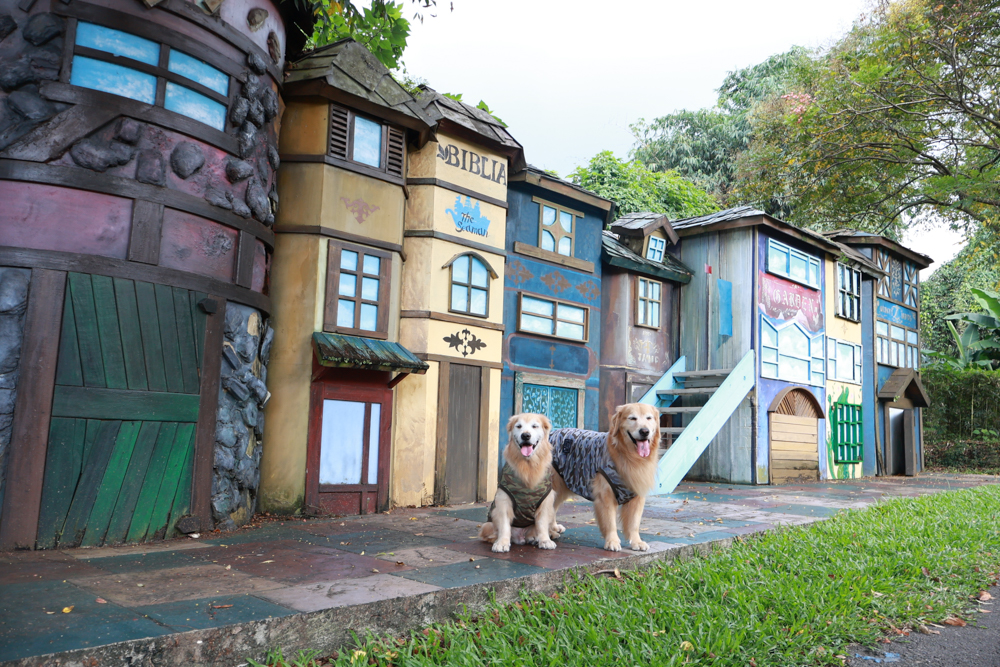 南投竹山海盜村｜一泊四食包棟住宿體驗。寵物友善親子樂園、一泊四食、VR飛船、氣墊樂園、烤肉派對一次玩到底