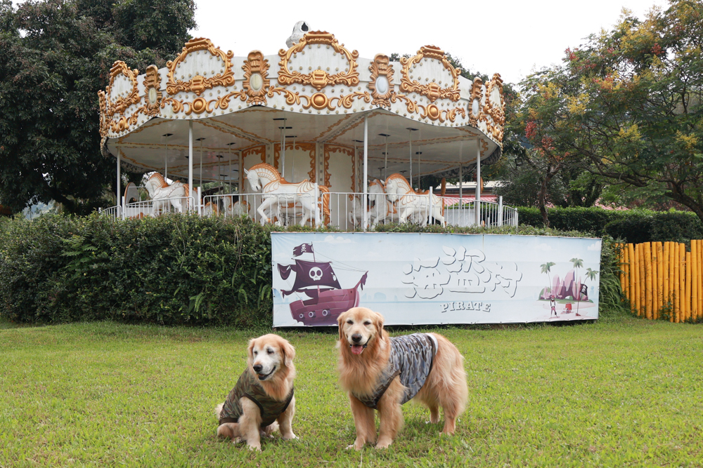 南投竹山海盜村｜一泊四食包棟住宿體驗。寵物友善親子樂園、一泊四食、VR飛船、氣墊樂園、烤肉派對一次玩到底