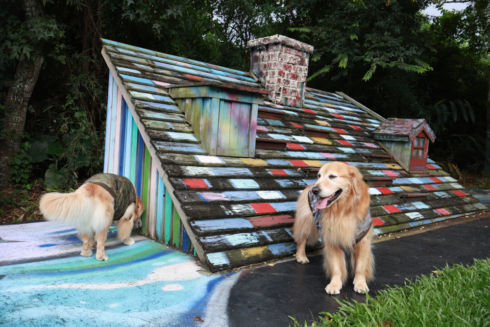 南投竹山海盜村｜一泊四食包棟住宿體驗。寵物友善親子樂園、一泊四食、VR飛船、氣墊樂園、烤肉派對一次玩到底