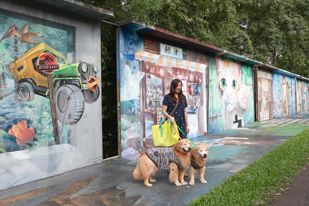 南投竹山海盜村｜一泊四食包棟住宿體驗。寵物友善親子樂園、一泊四食、VR飛船、氣墊樂園、烤肉派對一次玩到底