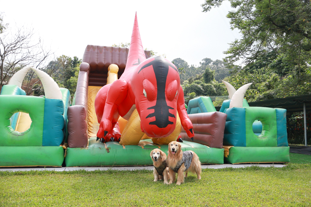 南投竹山海盜村｜一泊四食包棟住宿體驗。寵物友善親子樂園、一泊四食、VR飛船、氣墊樂園、烤肉派對一次玩到底