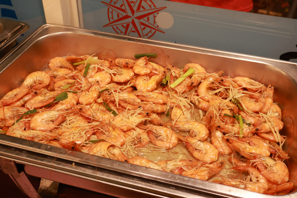 南投竹山海盜村｜一泊四食包棟住宿體驗。寵物友善親子樂園、一泊四食、VR飛船、氣墊樂園、烤肉派對一次玩到底