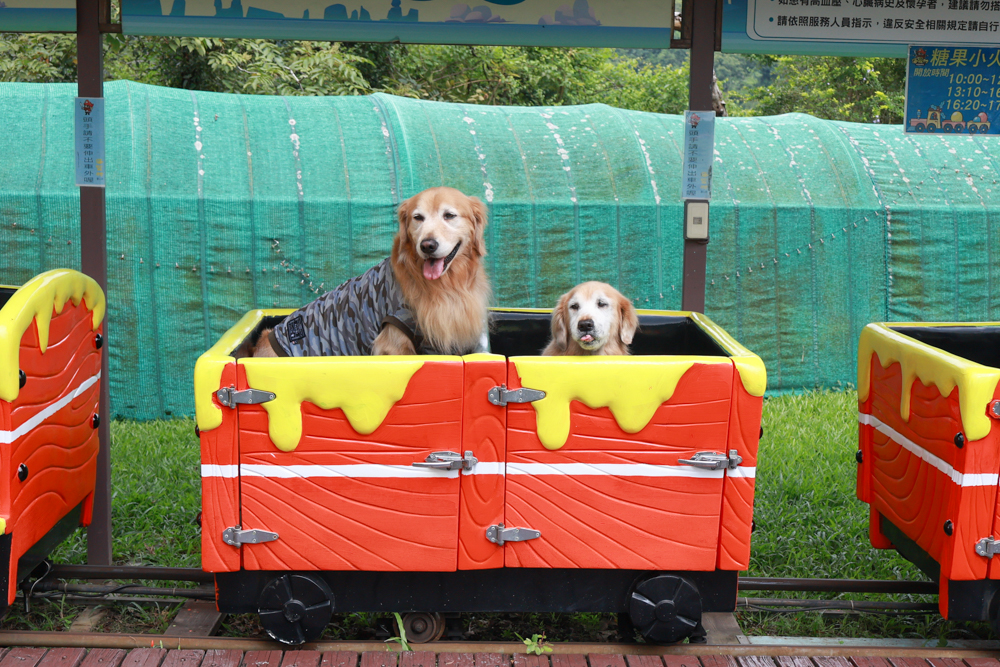 南投竹山海盜村｜一泊四食包棟住宿體驗。寵物友善親子樂園、一泊四食、VR飛船、氣墊樂園、烤肉派對一次玩到底