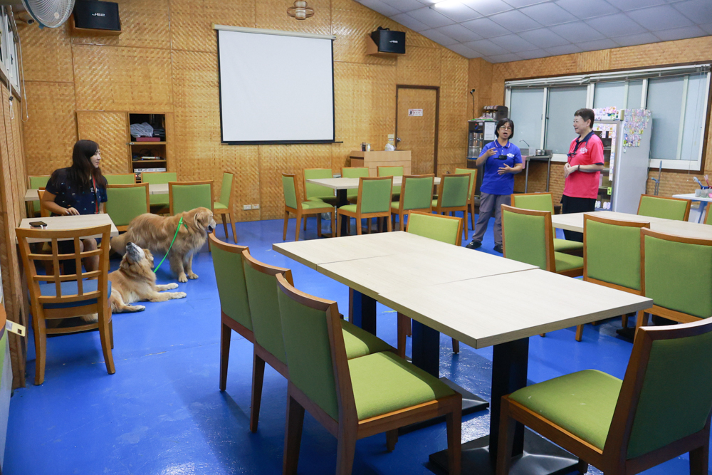 南投竹山海盜村｜一泊四食包棟住宿體驗。寵物友善親子樂園、一泊四食、VR飛船、氣墊樂園、烤肉派對一次玩到底