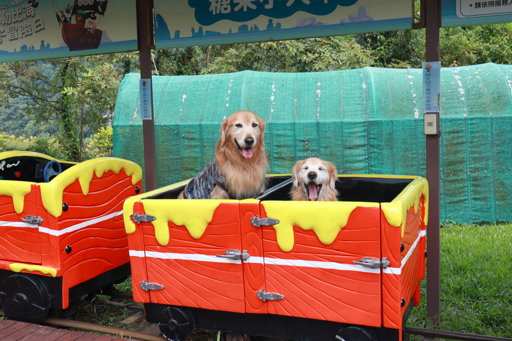 南投竹山海盜村｜一泊四食包棟住宿體驗。寵物友善親子樂園、一泊四食、VR飛船、氣墊樂園、烤肉派對一次玩到底