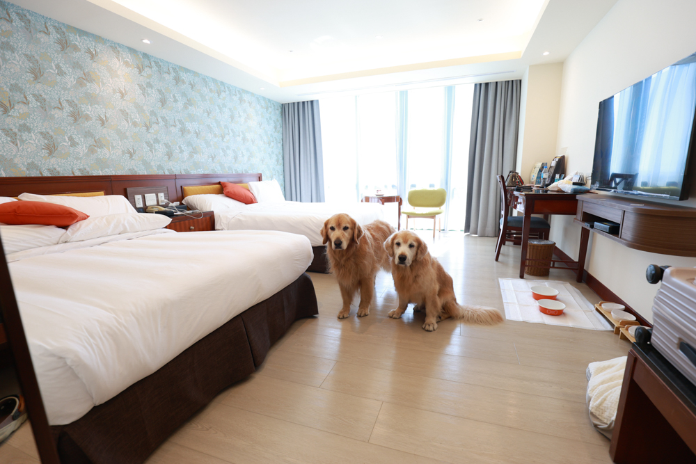 台東娜路彎大酒店寵物房開箱｜五星級飯店設施全攻略！免費下午茶、兒童遊戲區、露天泳池一次玩好玩滿