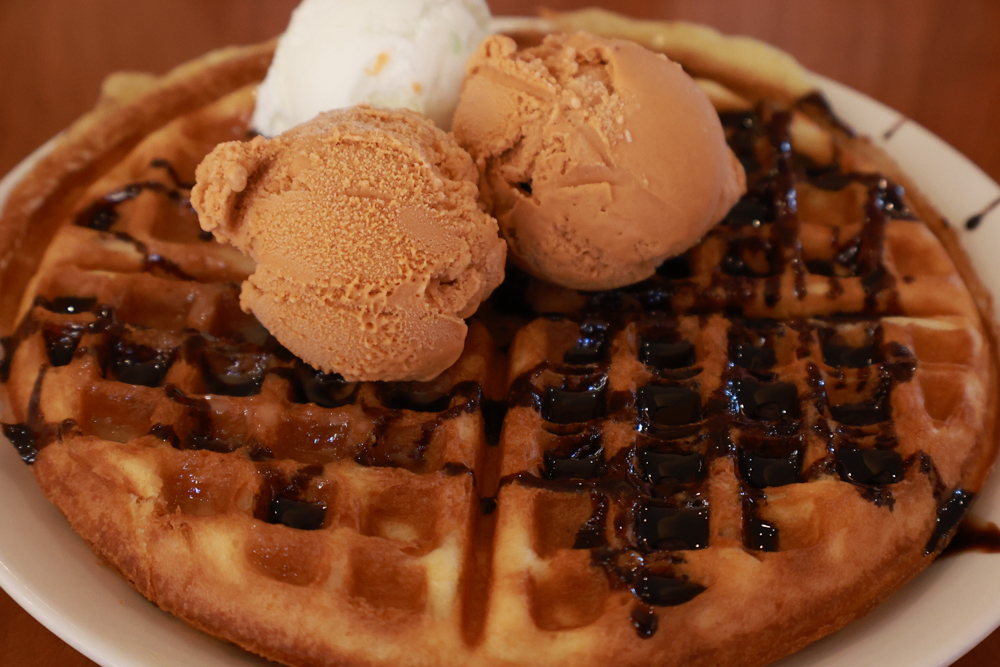 台東娜路彎大酒店寵物房開箱｜五星級飯店設施全攻略！免費下午茶、兒童遊戲區、露天泳池一次玩好玩滿