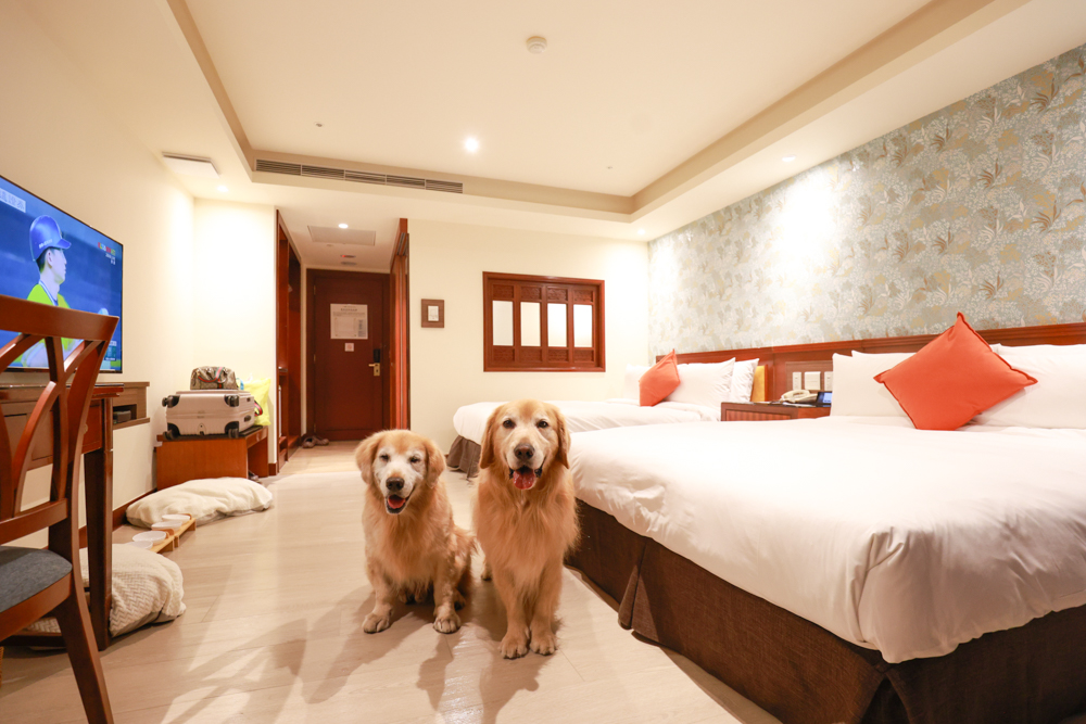 台東娜路彎大酒店寵物房開箱｜五星級飯店設施全攻略！免費下午茶、兒童遊戲區、露天泳池一次玩好玩滿