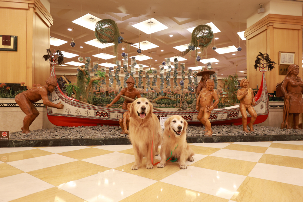 台東娜路彎大酒店寵物房開箱｜五星級飯店設施全攻略！免費下午茶、兒童遊戲區、露天泳池一次玩好玩滿