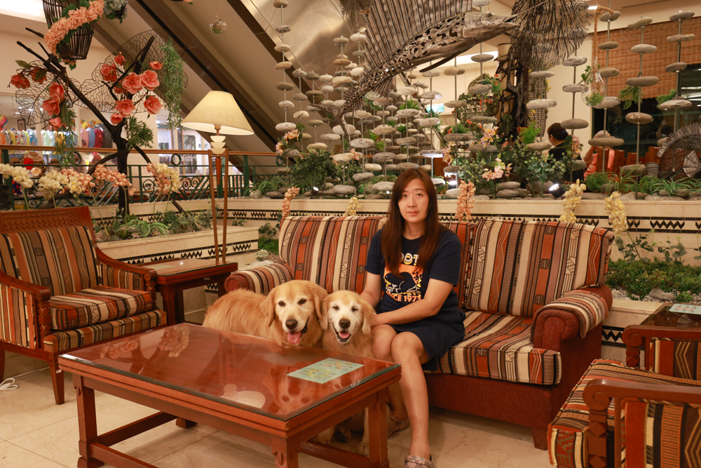 台東娜路彎大酒店寵物房開箱｜五星級飯店設施全攻略！免費下午茶、兒童遊戲區、露天泳池一次玩好玩滿