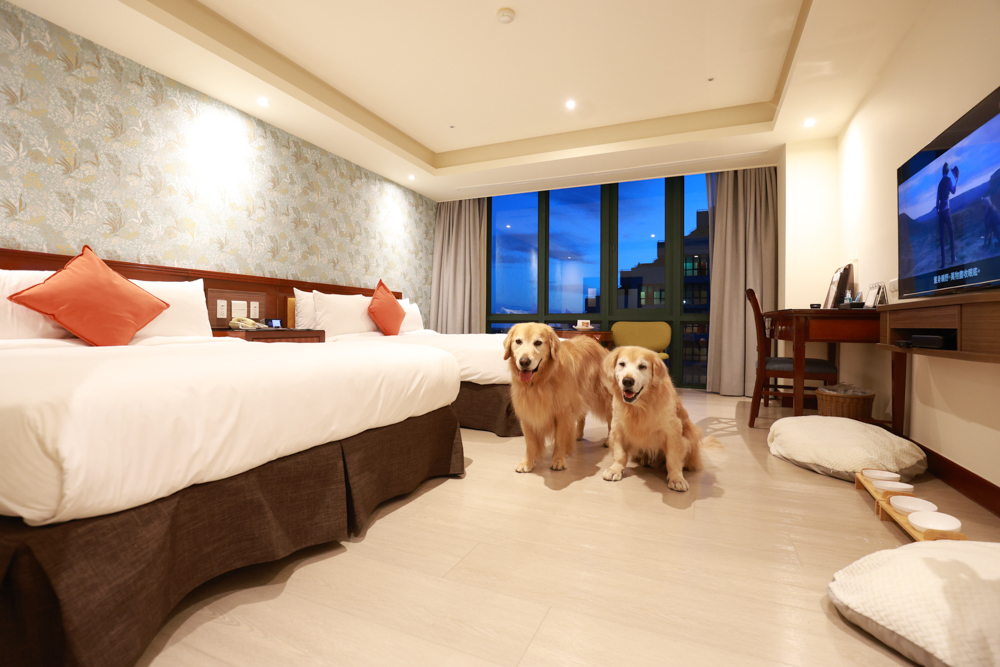 台東娜路彎大酒店寵物房開箱｜五星級飯店設施全攻略！免費下午茶、兒童遊戲區、露天泳池一次玩好玩滿