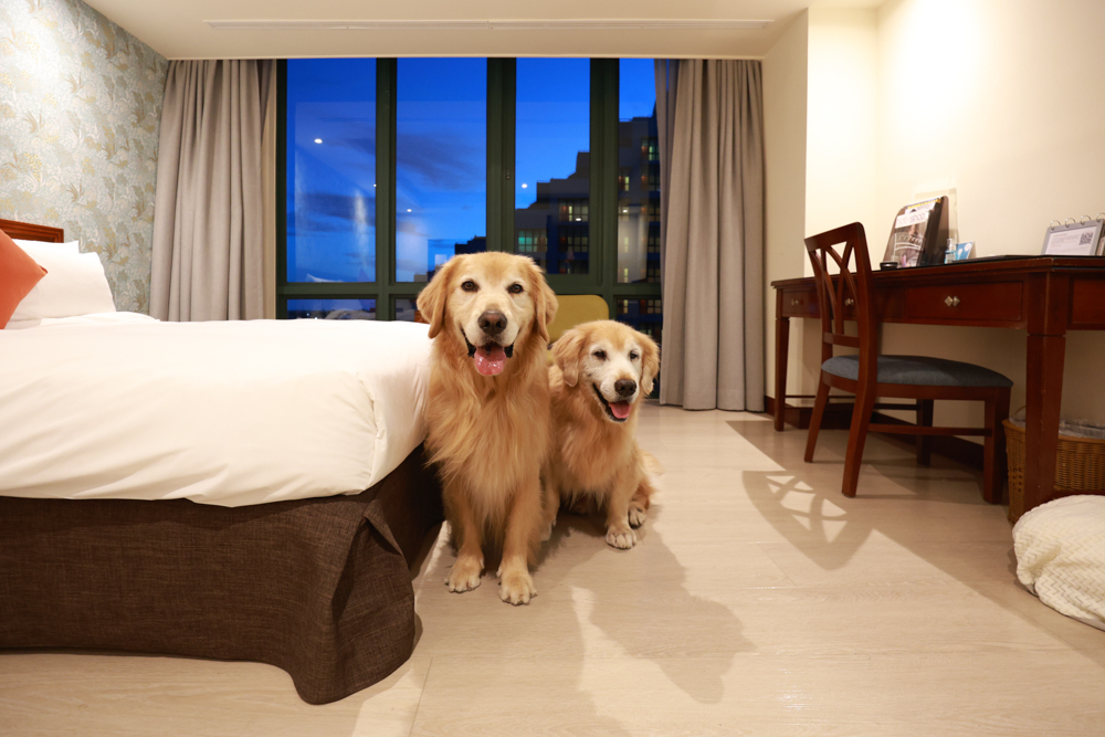 台東娜路彎大酒店寵物房開箱｜五星級飯店設施全攻略！免費下午茶、兒童遊戲區、露天泳池一次玩好玩滿