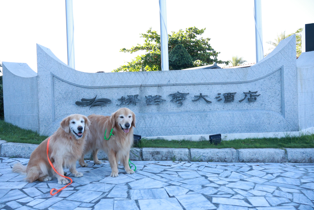 台東娜路彎大酒店寵物房開箱｜五星級飯店設施全攻略！免費下午茶、兒童遊戲區、露天泳池一次玩好玩滿