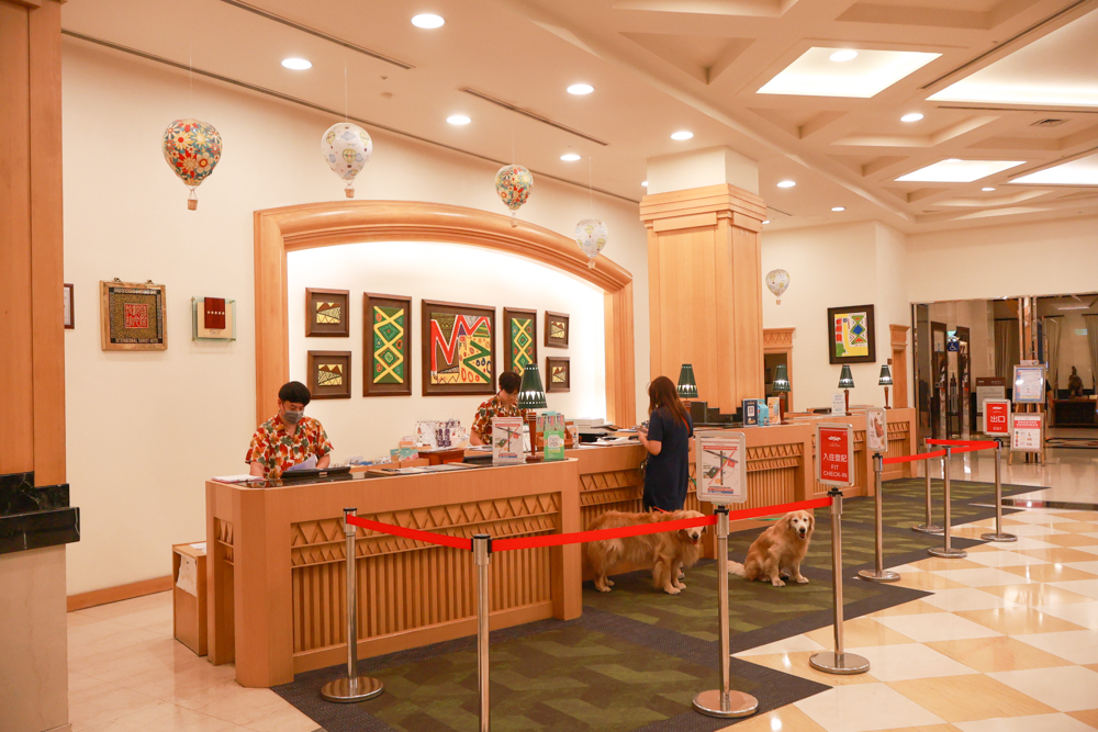 台東娜路彎大酒店寵物房開箱｜五星級飯店設施全攻略！免費下午茶、兒童遊戲區、露天泳池一次玩好玩滿