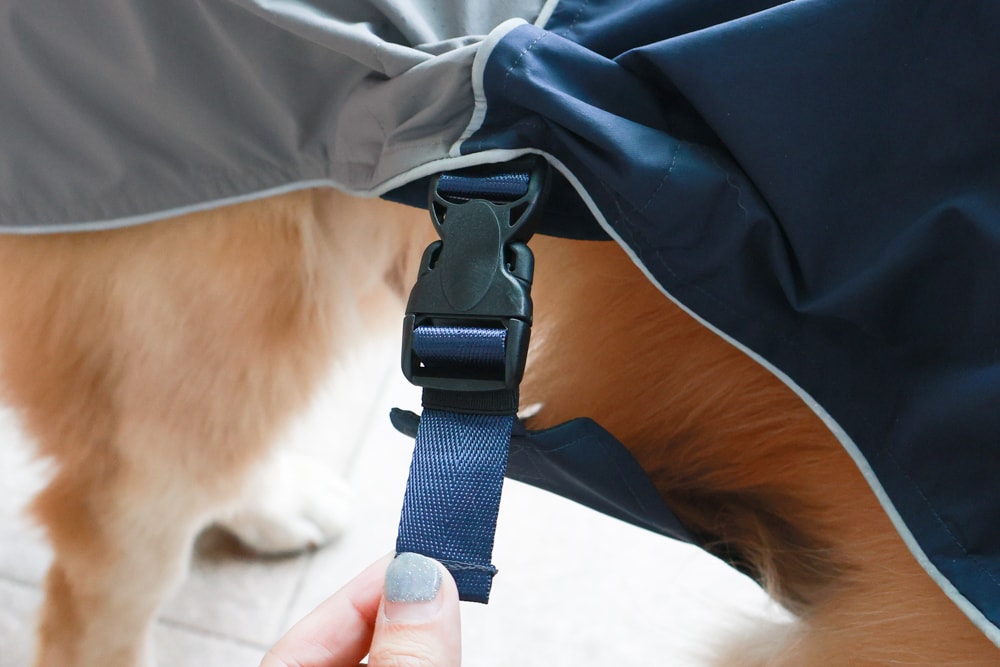 Rain Rover 毛孩漫遊衣|晴天雨天一件搞定。防水透氣、時尚又好穿的寵物機能雨衣!!可當風衣又可以變雨衣,超實穿 - 第18張圖 Rain Rover 毛孩漫遊衣|晴天雨天一件搞定。防水透氣、時尚又好穿的寵物機能雨衣!!可當風衣又可以變雨衣,超實穿