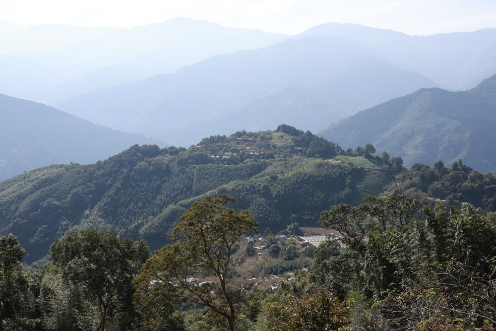 新竹五峰 蟬說霧語 |雲上海拔1200公尺的豪華露營區。一泊二食・雲海星空・寵物友善住宿、 - 第66張圖 新竹五峰 蟬說霧語 |雲上海拔1200公尺的豪華露營區。一泊二食・雲海星空・寵物友善住宿、