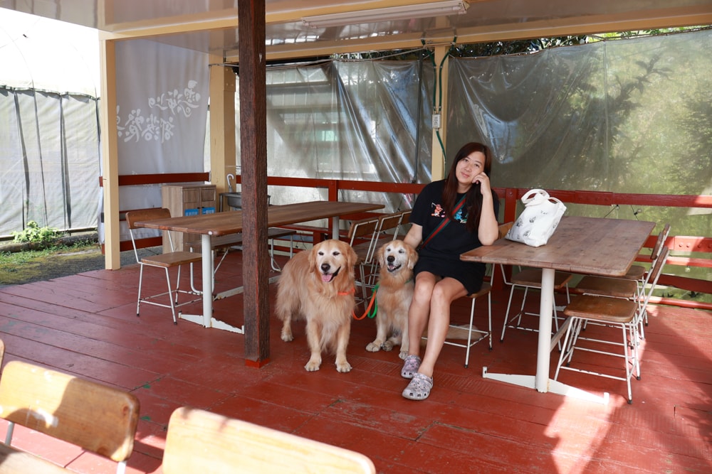 新竹五峰 蟬說霧語 |雲上海拔1200公尺的豪華露營區。一泊二食・雲海星空・寵物友善住宿、 - 第67張圖 新竹五峰 蟬說霧語 |雲上海拔1200公尺的豪華露營區。一泊二食・雲海星空・寵物友善住宿、