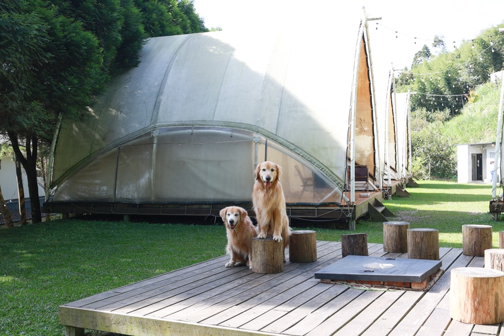 新竹五峰 蟬說霧語 |雲上海拔1200公尺的豪華露營區。一泊二食・雲海星空・寵物友善住宿、 - 第71張圖 新竹五峰 蟬說霧語 |雲上海拔1200公尺的豪華露營區。一泊二食・雲海星空・寵物友善住宿、