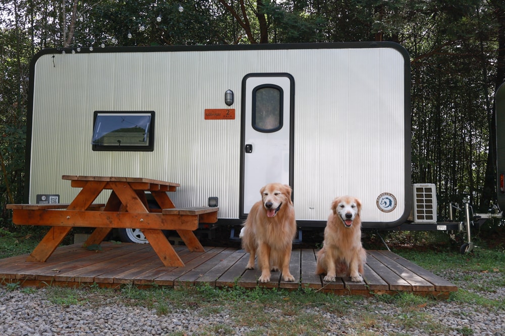 新竹五峰 蟬說霧語 |雲上海拔1200公尺的豪華露營區。一泊二食・雲海星空・寵物友善住宿、 - 第78張圖 新竹五峰 蟬說霧語 |雲上海拔1200公尺的豪華露營區。一泊二食・雲海星空・寵物友善住宿、