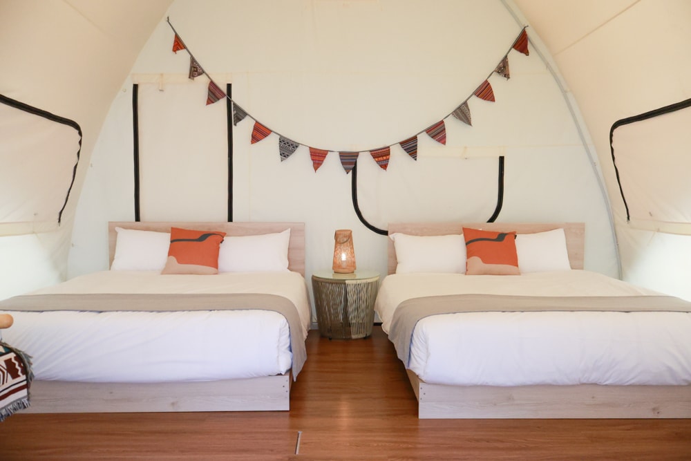 新竹五峰 蟬說霧語 |雲上海拔1200公尺的豪華露營區。一泊二食・雲海星空・寵物友善住宿、 - 第5張圖 新竹五峰 蟬說霧語 |雲上海拔1200公尺的豪華露營區。一泊二食・雲海星空・寵物友善住宿、