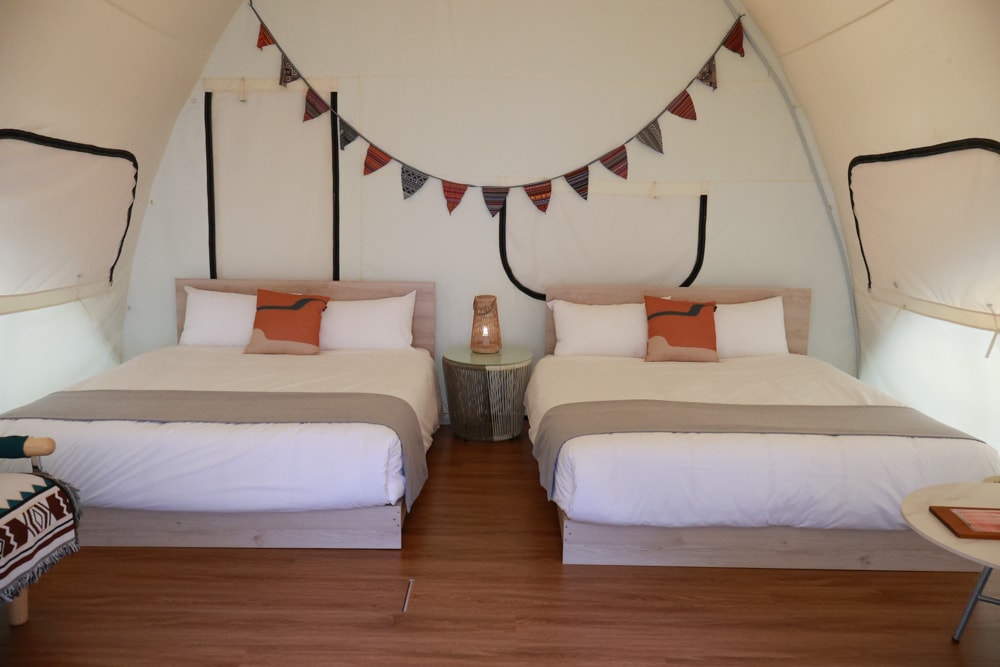 新竹五峰 蟬說霧語 |雲上海拔1200公尺的豪華露營區。一泊二食・雲海星空・寵物友善住宿、 - 第6張圖 新竹五峰 蟬說霧語 |雲上海拔1200公尺的豪華露營區。一泊二食・雲海星空・寵物友善住宿、