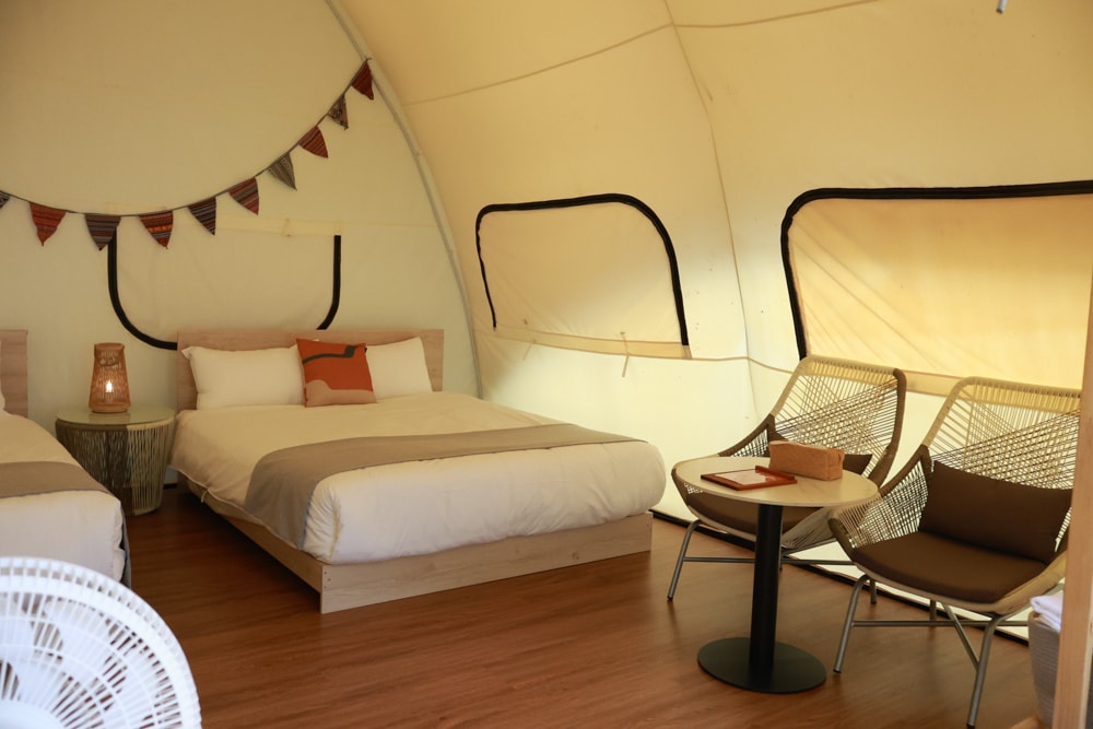 新竹五峰 蟬說霧語 |雲上海拔1200公尺的豪華露營區。一泊二食・雲海星空・寵物友善住宿、 - 第8張圖 新竹五峰 蟬說霧語 |雲上海拔1200公尺的豪華露營區。一泊二食・雲海星空・寵物友善住宿、