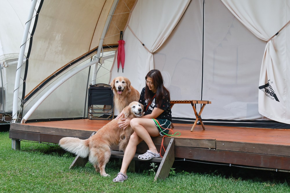 新竹五峰 蟬說霧語 |雲上海拔1200公尺的豪華露營區。一泊二食・雲海星空・寵物友善住宿、 - 第10張圖 新竹五峰 蟬說霧語 |雲上海拔1200公尺的豪華露營區。一泊二食・雲海星空・寵物友善住宿、