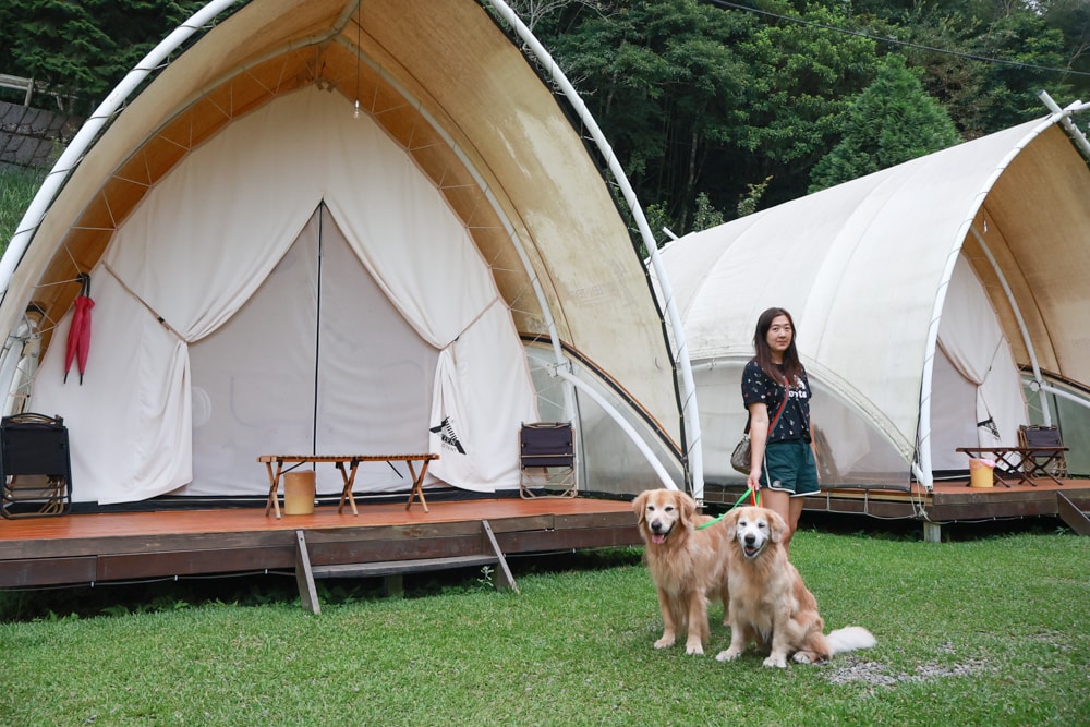 新竹五峰 蟬說霧語 |雲上海拔1200公尺的豪華露營區。一泊二食・雲海星空・寵物友善住宿、 - 第11張圖 新竹五峰 蟬說霧語 |雲上海拔1200公尺的豪華露營區。一泊二食・雲海星空・寵物友善住宿、